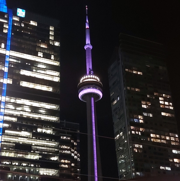 𓆸 Latest Statistics 𓆸 - Picture 3 of 16